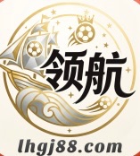 领航国际